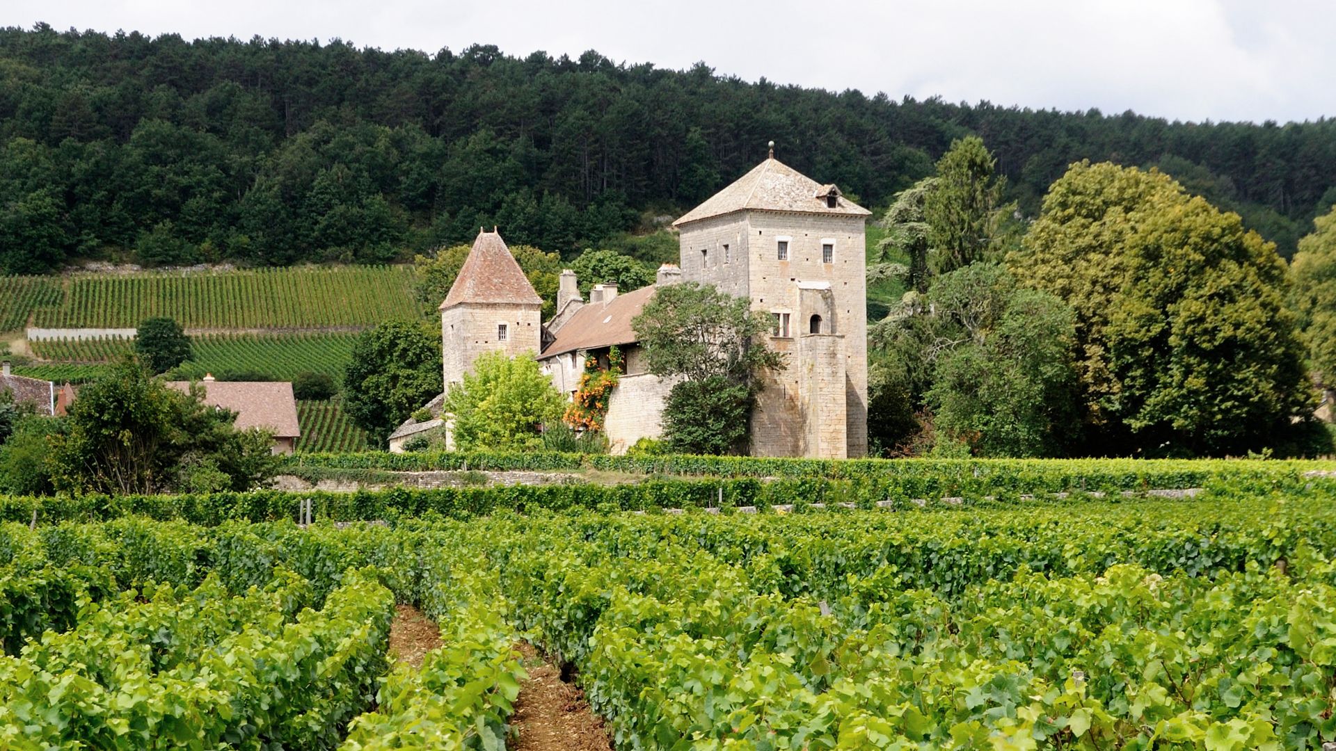 Côte de Nuits