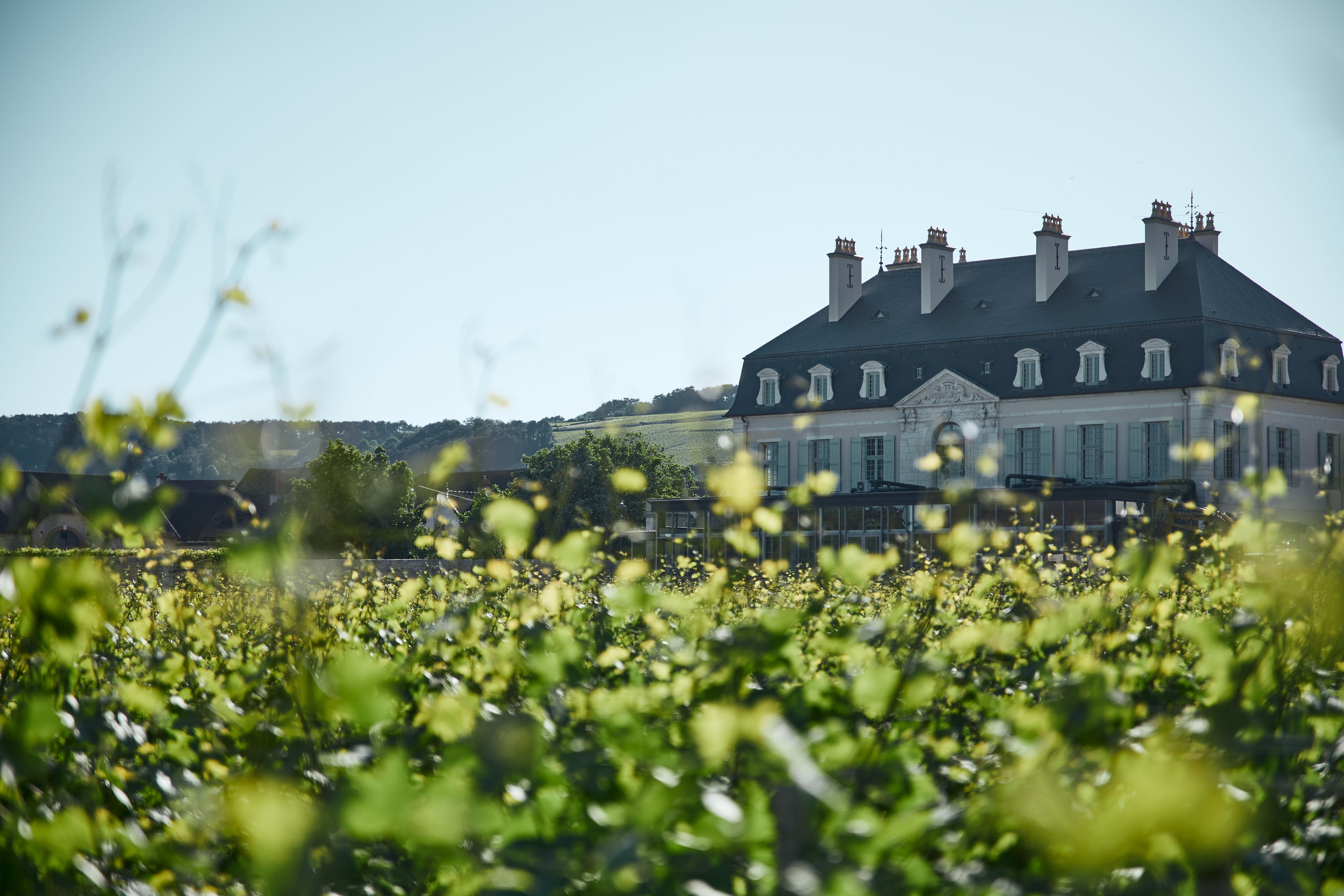 ワイン Ladoix Les Chaillots 2008 & Volnay 2011 Ladoix Les Chaillots - Chateau de Meursault